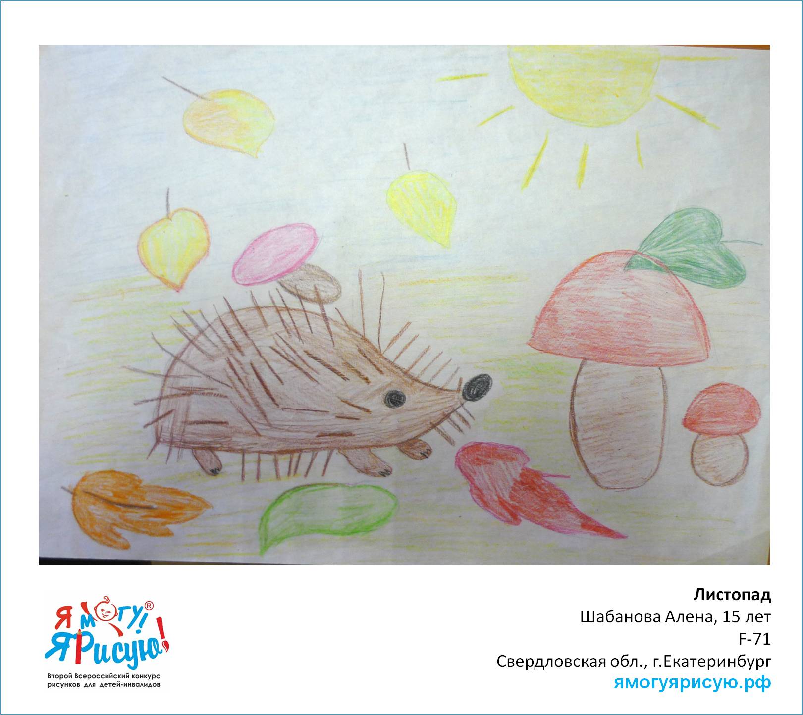 Шабанова Алена