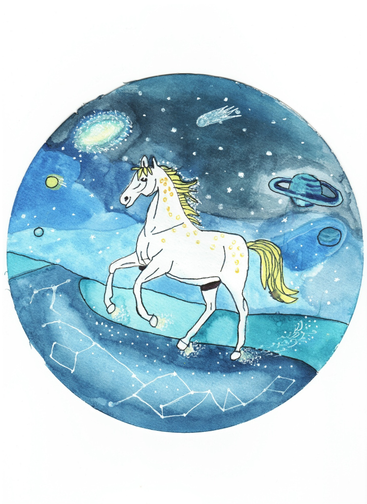 Тейшану Е. Прогулка к звездам.jpg